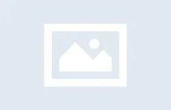 [식봄] 리드넘버 세금신고 0원 이벤트