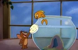 강의 소개 및 수강 신청 마케팅 페이지 템플릿